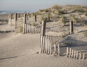 dunes in ocean city new jersey
