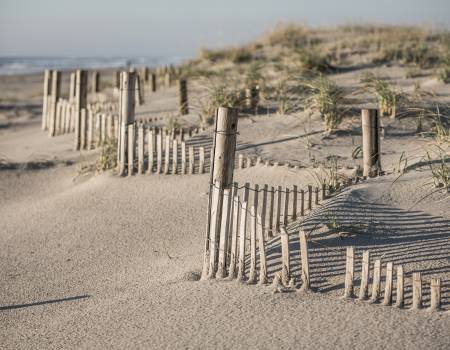 dunes in ocean city new jersey