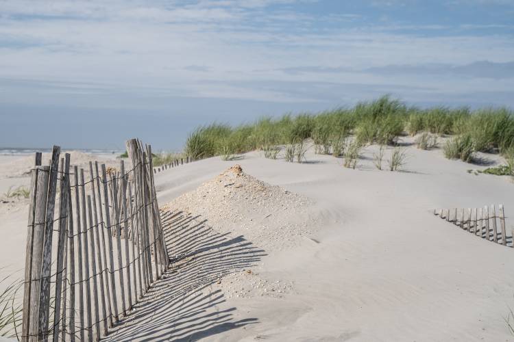 Sand dunes in Avalon New Jersey