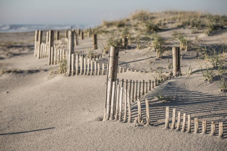 dunes in ocean city new jersey